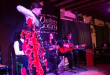 Flamenco Granada - Tablao Jardines de Zoraya景点图片