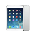 iPad mini