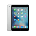 iPad mini 3