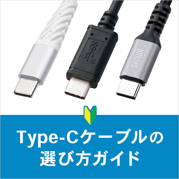 USB Type-CP[ȗIѕ