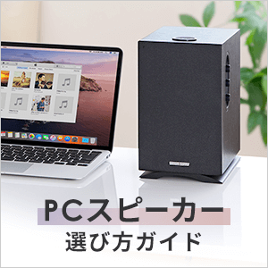 PCXs[J[̑Iѕ