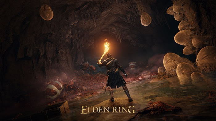 「ELDEN RING」