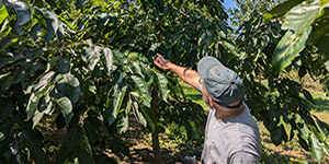 Francis Smith, Maryland’s lead agroforestry planner, points out a persimmon at the White Marsh Park Edible Trail. Photo by Joe Zimmermann, Maryland Department of Natural Resources. 