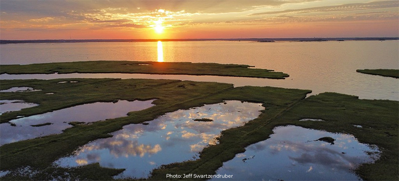 shoreline by the bay with marshland and the sun setting in the background