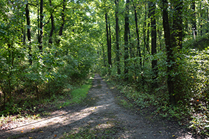 North Point State Park trail head