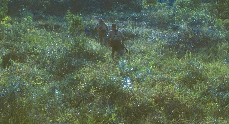 ジャングルで約30年生き抜いた小野田旧陸軍少尉を描く「ONODA（原題）」今秋公開 遠藤雄弥と津田寛治がダブル主演