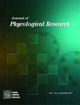 Cytotoxic Activity of Cytoplasmic Extraction and Medium Culture of Nodularia harveyana on Melanoma Cell Line