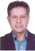 Hossein Dehghanisanij