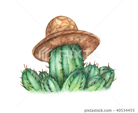 Cactus with straw hat on white 40534455