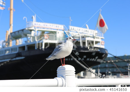 Hikawamaru in the blue sky 45141650