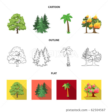 Vector illustration of tree and forest sign. Set of tree and green stock symbol for web. 62504567