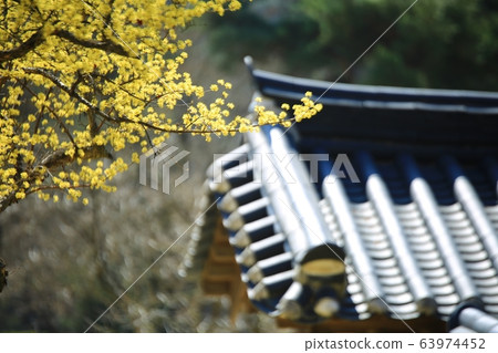 Spring of Hyeonchungsa Temple, 63974452