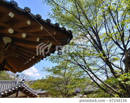 Korean meaning, Korean landscape, Hanok, Korean image, Hanok landscape, Hanok image, tile house, stone wall, jar, Jangdok, traditional architecture 67248156