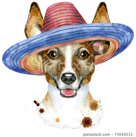 Watercolor portrait of jack russell terrier in sombrero 73048515