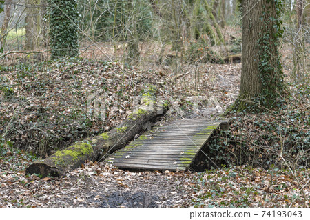 Simple wooden bridge on the border of the Netherlands and Germany. 74193043