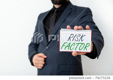 Word writing text Risk Factor. Business concept 74273226