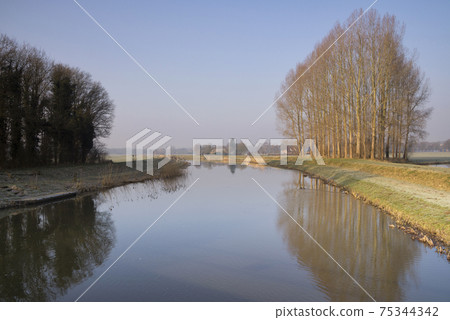 Trees along a river 75344342