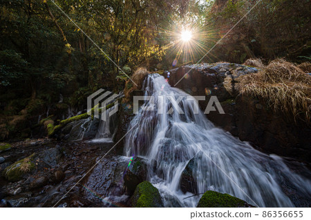 Beautiful scenery of Kikuchi Gorge in the early morning 86356655