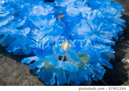 Hawaiian lei blue blue flower lei overseas travel aloha outside travel 87401264