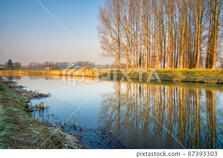 Row of trees along the river Berkel 87393303