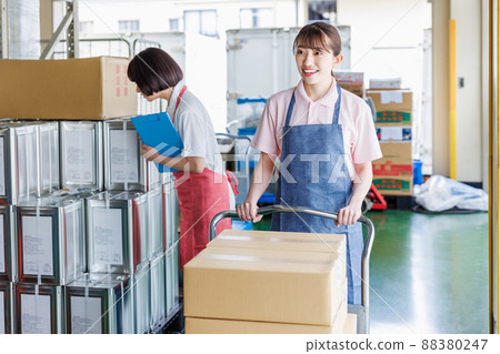 Female staff working in the warehouse 88380247