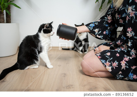 pet owner kneeling on the floor showing empty treat jar to her cat 89136652