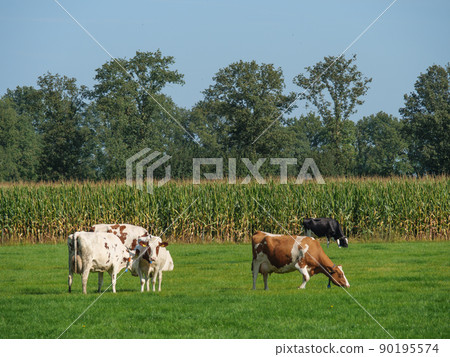 The city and the nature of Bredevoort in the netherlands 90195574