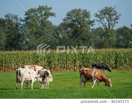 The city and the nature of Bredevoort in the netherlands 90195573