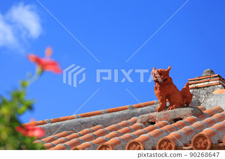 Mensore Okinawa Blue sky, red hibiscus and shisa 90268647