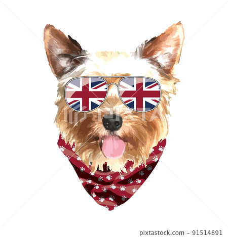 Yorkshire Terrier portrait, Cute cool dog in UK flag glasses and bandana, Vector illustration 91514891