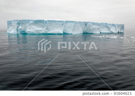 Antartica - Tabular Iceberg in Bransfield Strait 91604021