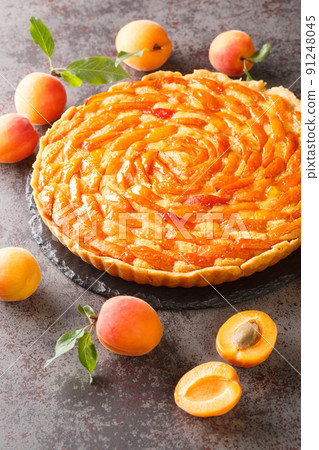 Fresh apricot tart with almond frangipane close-up on a slate board. Vertical 91248045