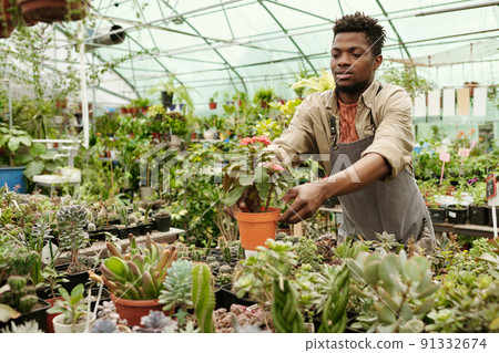 Worker selling houseplants in flower shop 91332674