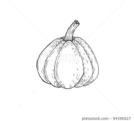 Pumpkin outline doodle icon. Simple monochrome image. 94390827