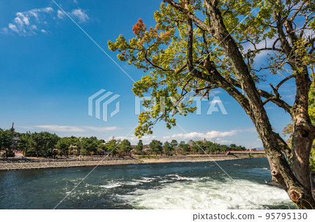 View of Uji Park from the right bank of the Uji River 95795130