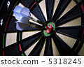 Darts 5318245