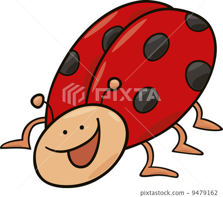 funny ladybug 9479162