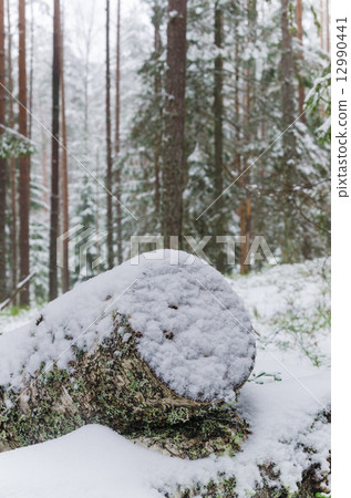 Sawn timber in the snowy winter forest 12990441