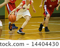 Basketball 14404430