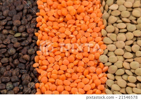 mix of lentils 21546578