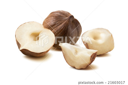 Hazelnut nut group  pieces isolated on white 21603017