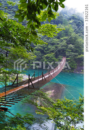 [Shizuoka Prefecture, unexplored territory] Suspension bridge of the dream 33622161