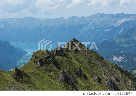 Swiss Alps  34151644