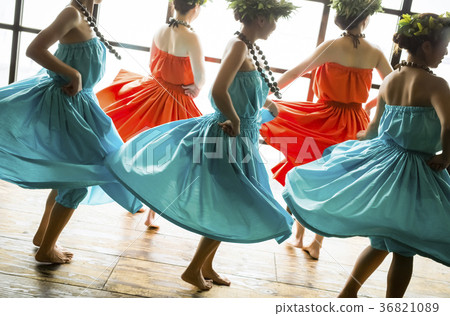 Hula dancer dance 36821089