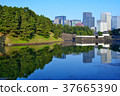 Sakurada moat and buildings in Marunouchi 37665390