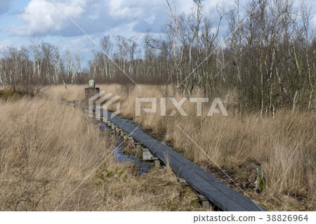 Boundary stone in Wooldse veen in Winterswijk 38826964