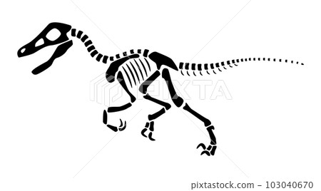 Velociraptor skeleton . Silhouette dinosaurs . Side view . Vector . 103040670