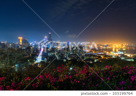 Night view from Shoushan Lovers Observatory, Kaohsiung, Taiwan 103199764