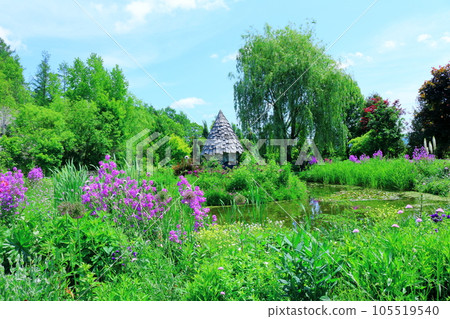 Hokkaido Travelogue June Ueno Farm Morning Garden 105519540