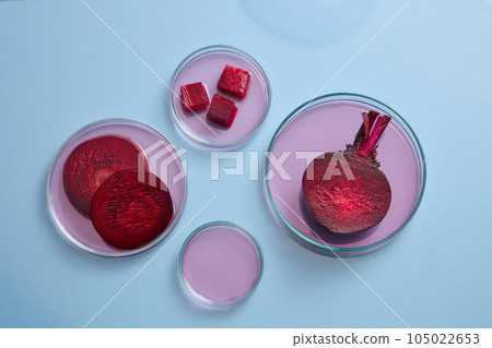 Top view of fresh beetroot slices and essence in petri dish decorated on blue background. Top view, minimalist scene for advertising. The abundant amount of vitamin A in beetroot improves skin health 105022653